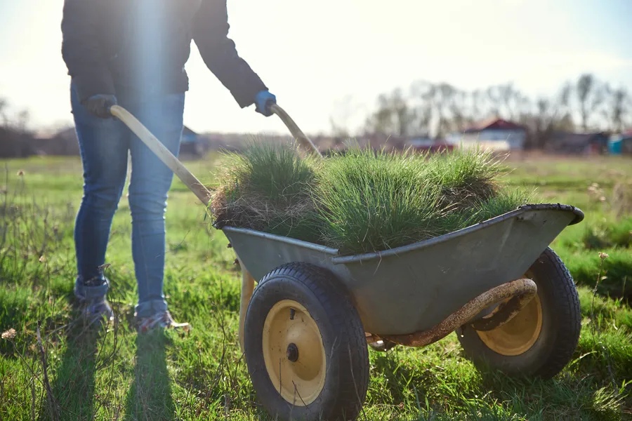 Cleanup Services
