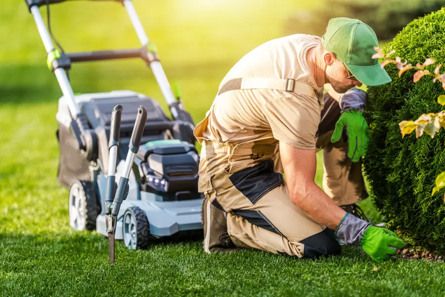 Lawn Maintenance